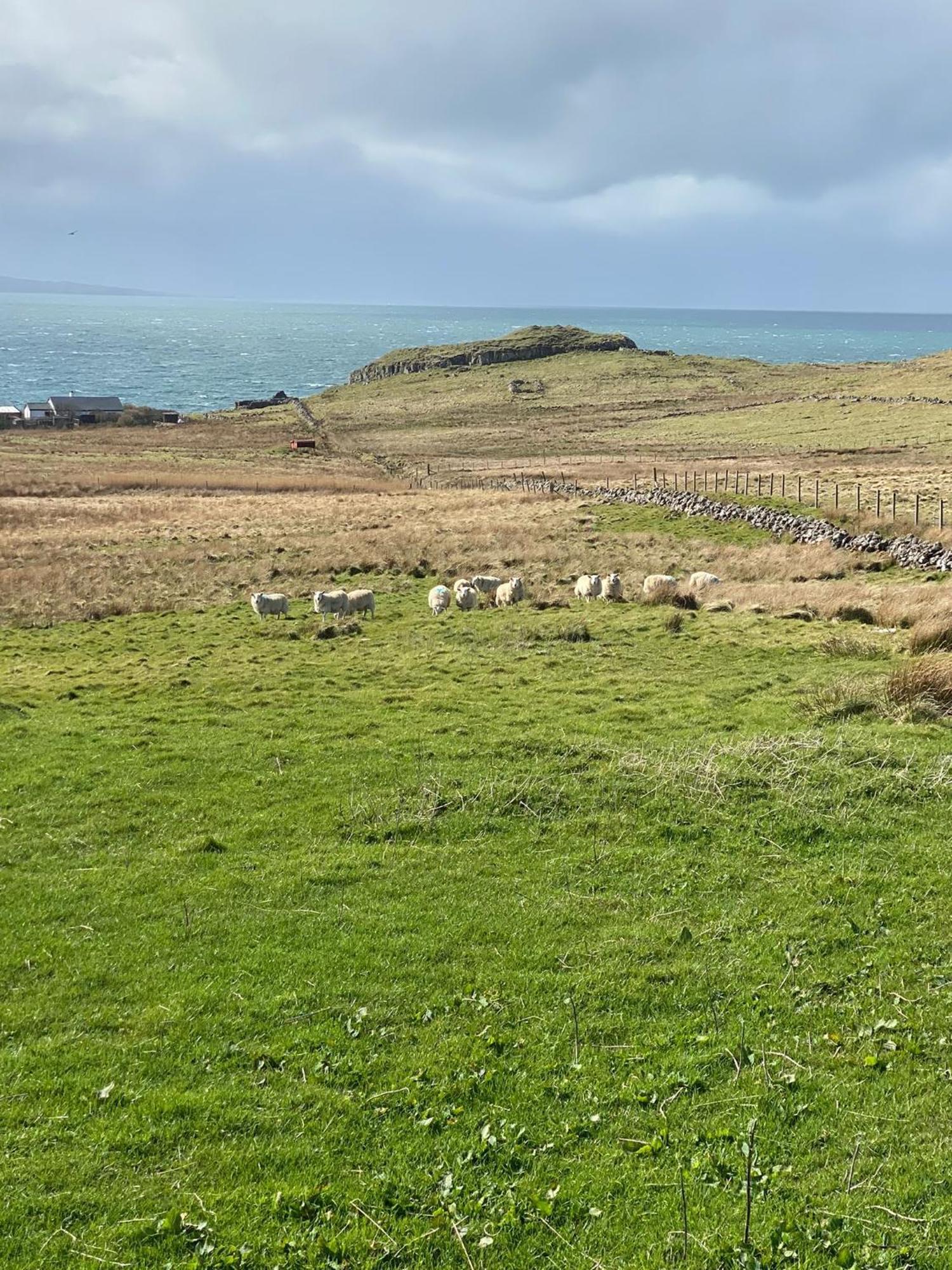 Cnoc Ruaraidh *